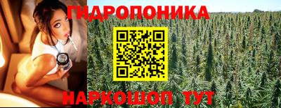 PSILOCYBIN Малоярославец